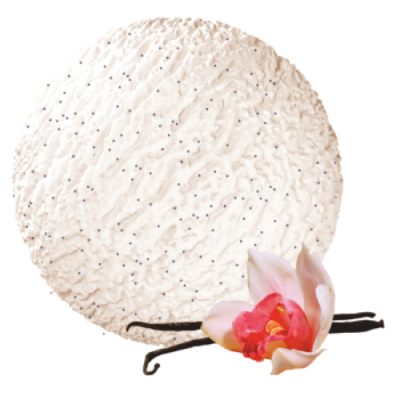 Мороженое Ваниль 500х500 Мороженое Ваниль 500х500