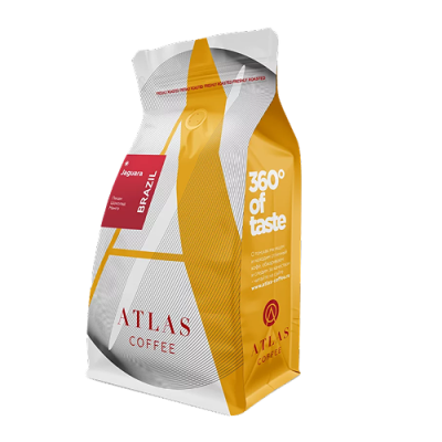 Бразилия Ягуара 500х500