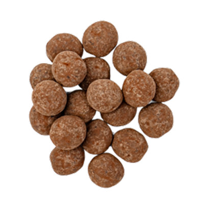 Фундук-какао