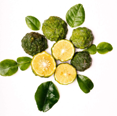 Кафр лайм 500х500