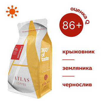 индонезия г 500х500