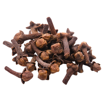 Гвоздика 500 х 500 Гвоздика 500 х 500