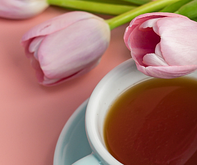 Купить Подарки