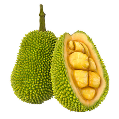 Джекфрукт изображение 500 х 500