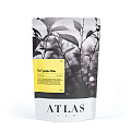 Купить Улуны Atlas Tea