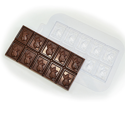 Какао-плод 500х500