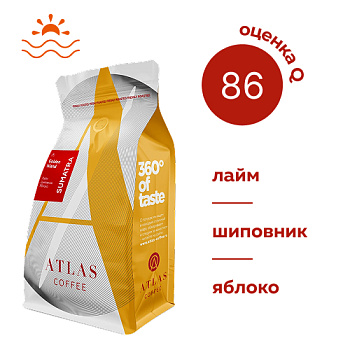 суматра голден 500х500